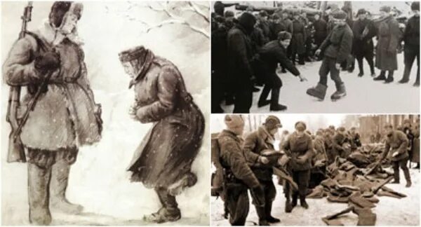 Старый воробей фото. Птички на снегу. Произведение немец в валенках. Немец в валенках воробьев. Старый воробей мамин сибиряк.