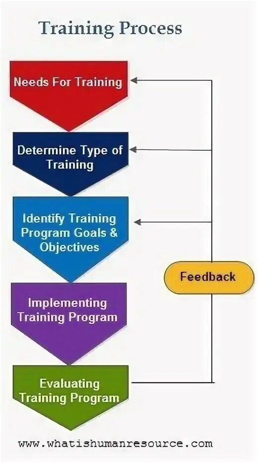 Resources be. ERP картинки вертикальные. NUREAL Network Training process Chart. Training process o fdzyudo with partner. Human Performance Improvement.