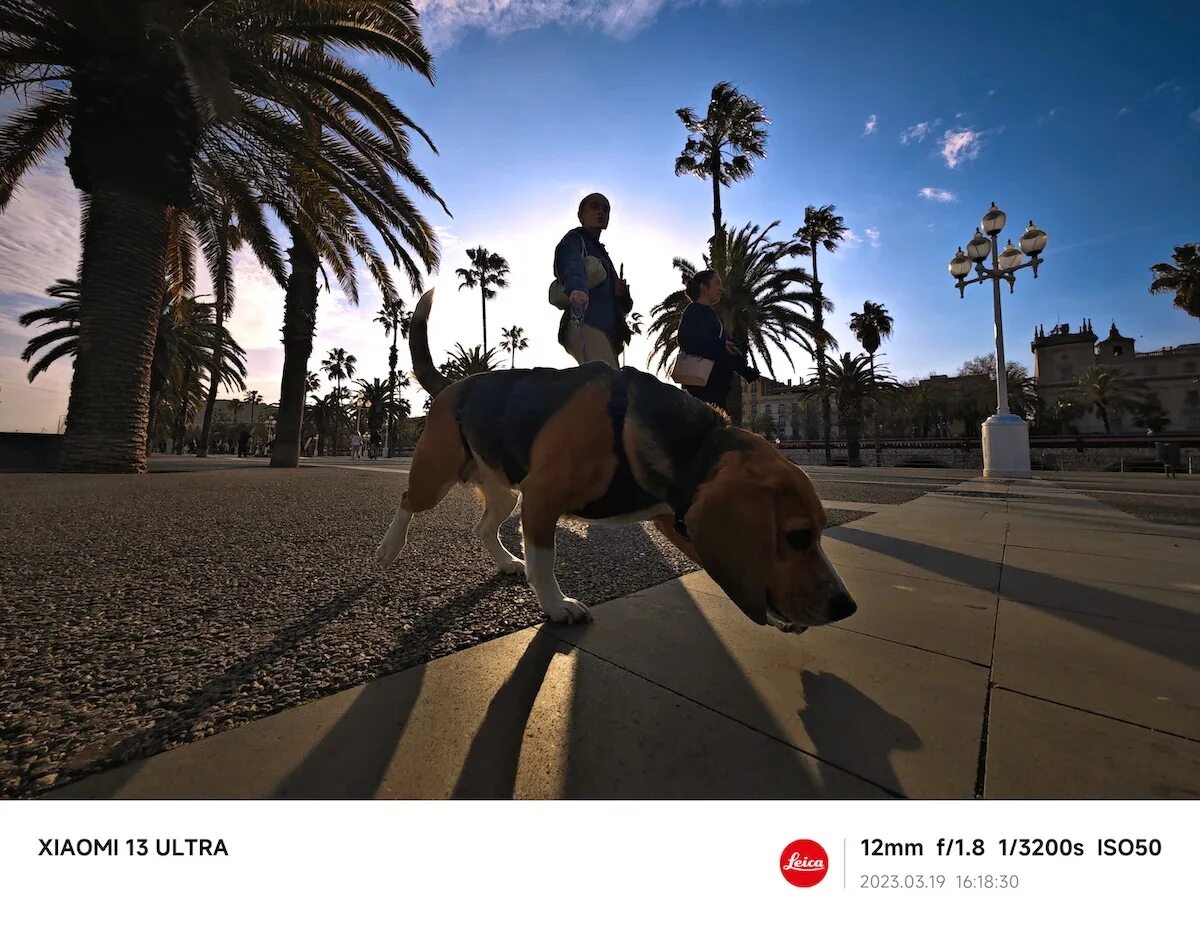 Битва флагманов: сравнение Xiaomi 13 Pro и Samsung Galaxy S23 Ultra Фотосклад.Эк
