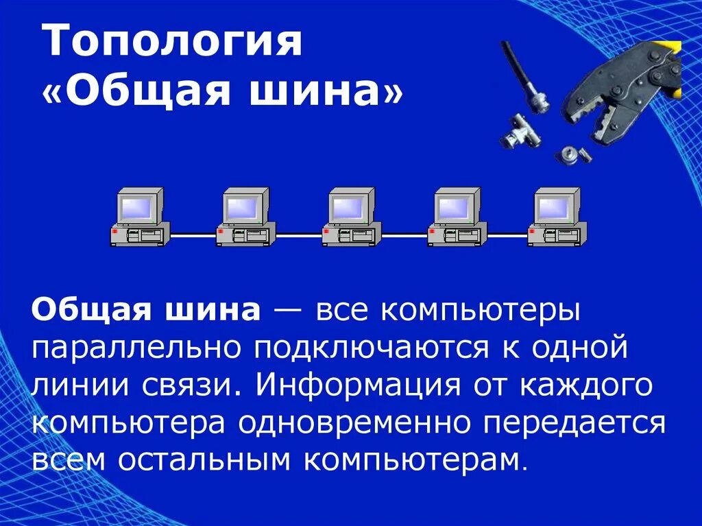 Локальная компьютерная сеть презентация. Топология общая шина. Шина (топология компьютерной сети). Интерфейс общая шина. Локальные компьютерные сети.