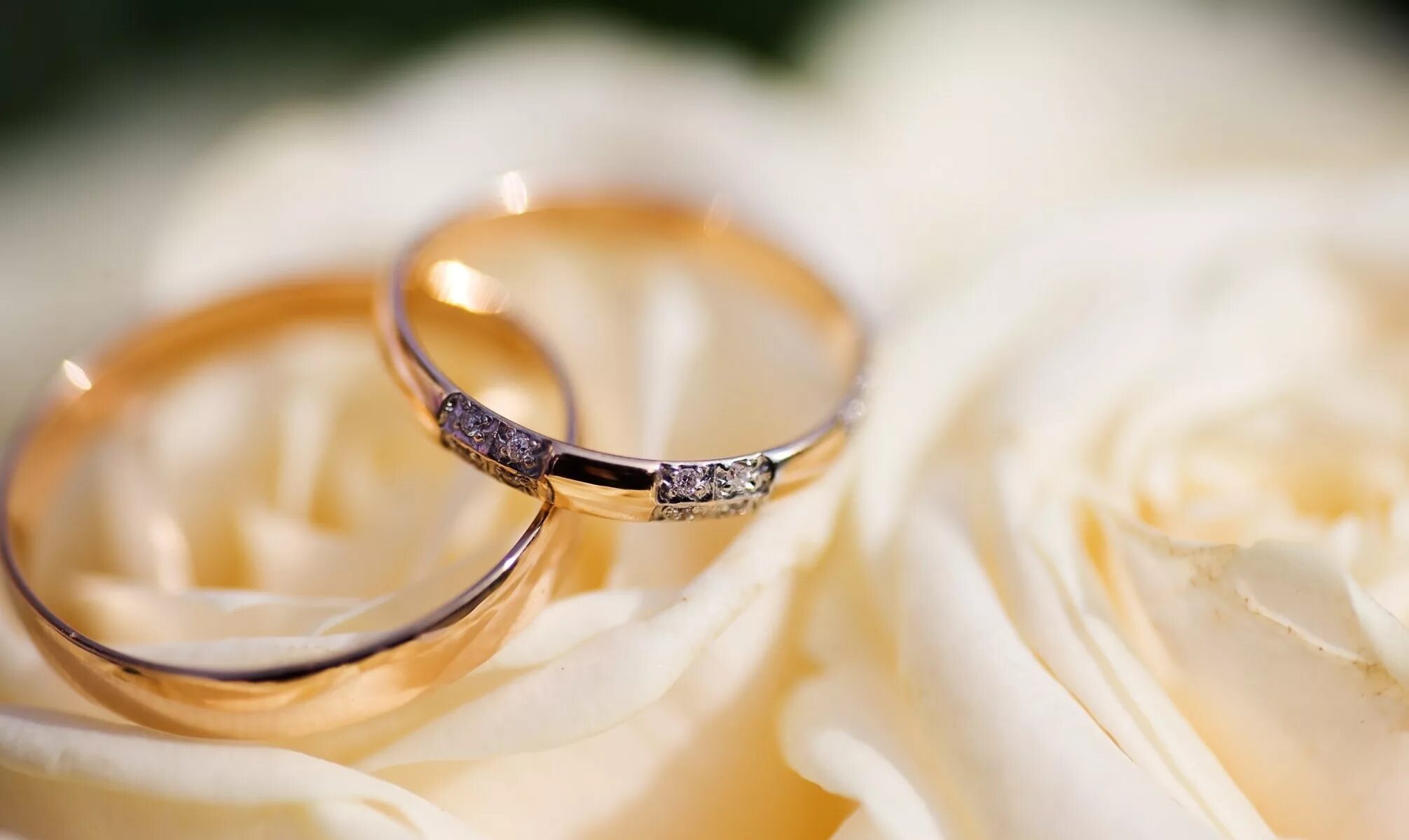 Свадебные кольца. Кольца на свадьбу обручальные. Красивые обручальные кольца. Обручальные кольца открытка.