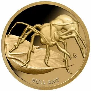 Ant монета