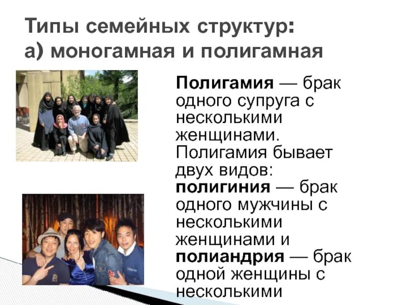Моногамность что это