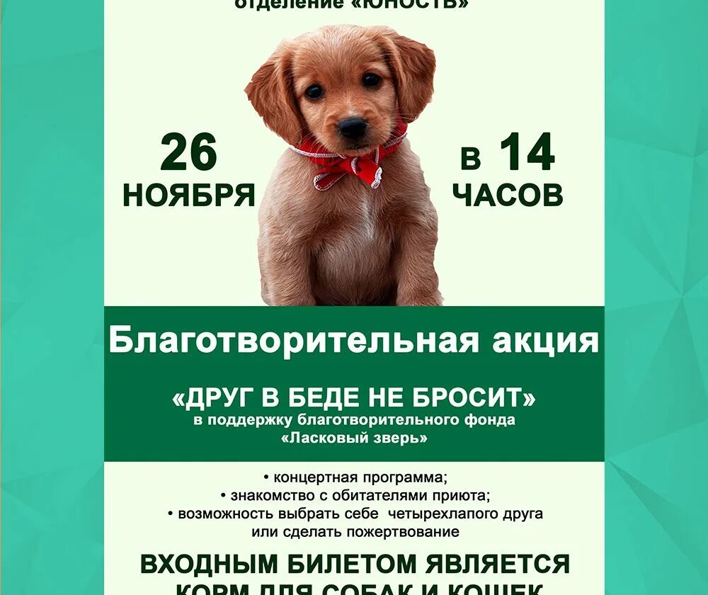 Слоган приюта для животных. То что является приютом 4. Приют домашних животных. Обращение с животными без владельцев. Никогда не предам тебя.