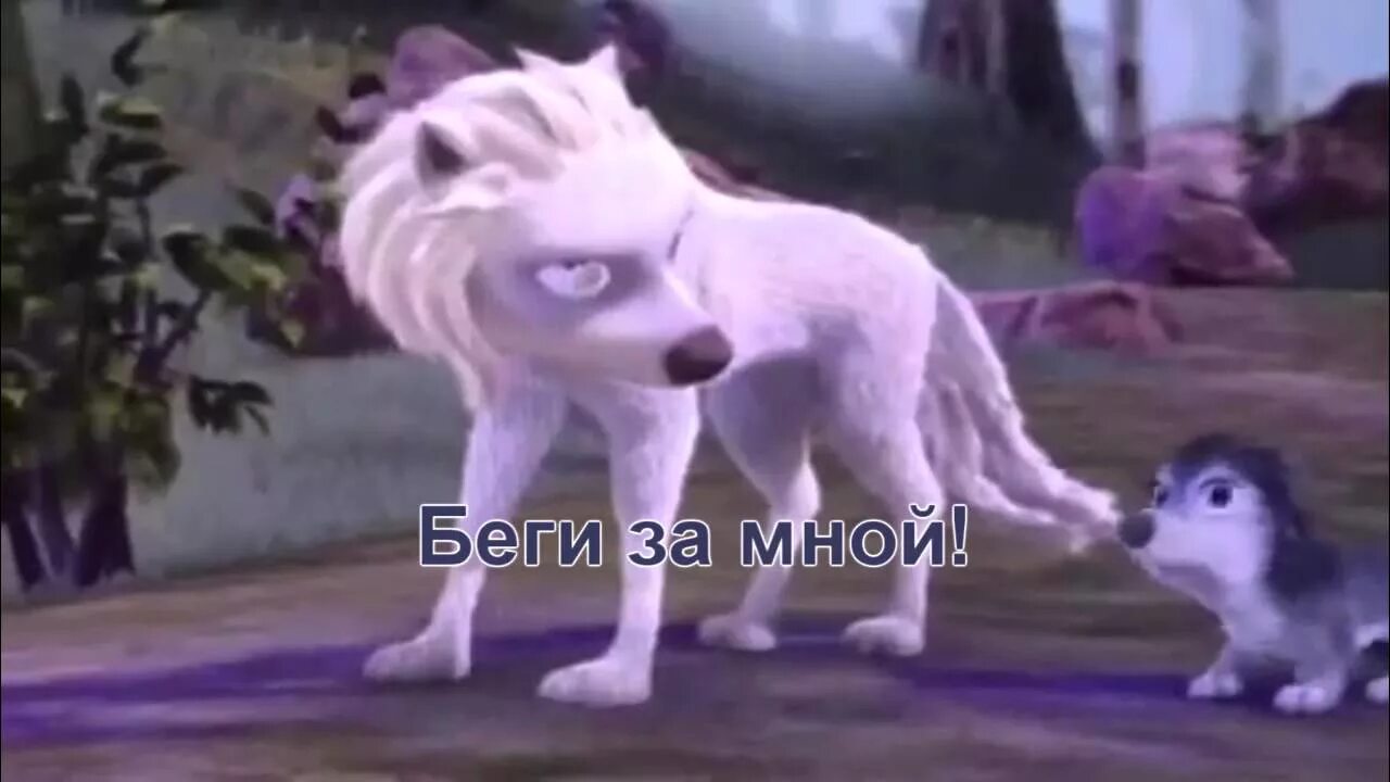 Альфа и Омега 4. Альфа и Омега 4 Легенда о зубастой. Альфа и Омега 4 Легенда клыкастой пещеры.