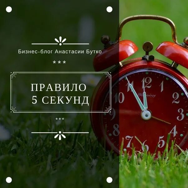 Правило пяти секунд. Правила 5 секунд. Правило 5 секунд еда. Что за правило 5 секунд.