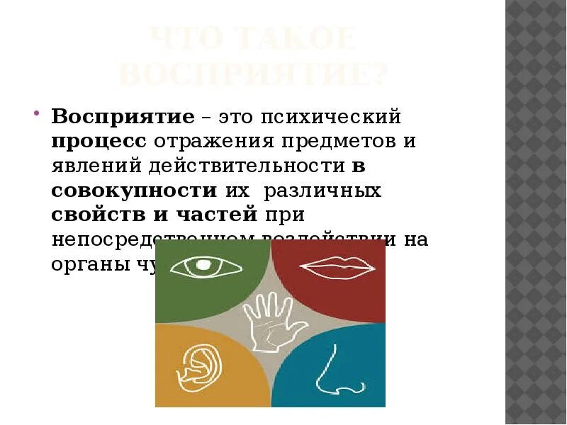 Восприятие - это процесс психического отражения. Восприятие отражение предметов и явлений. Отражение предметов в совокупности их свойств и частей. Шкала восприятия. Опасность восприятия