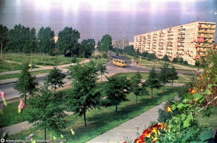 Контрасты Невского района. Путеводитель для покупателей квартир. Часть 2 Елена Ч