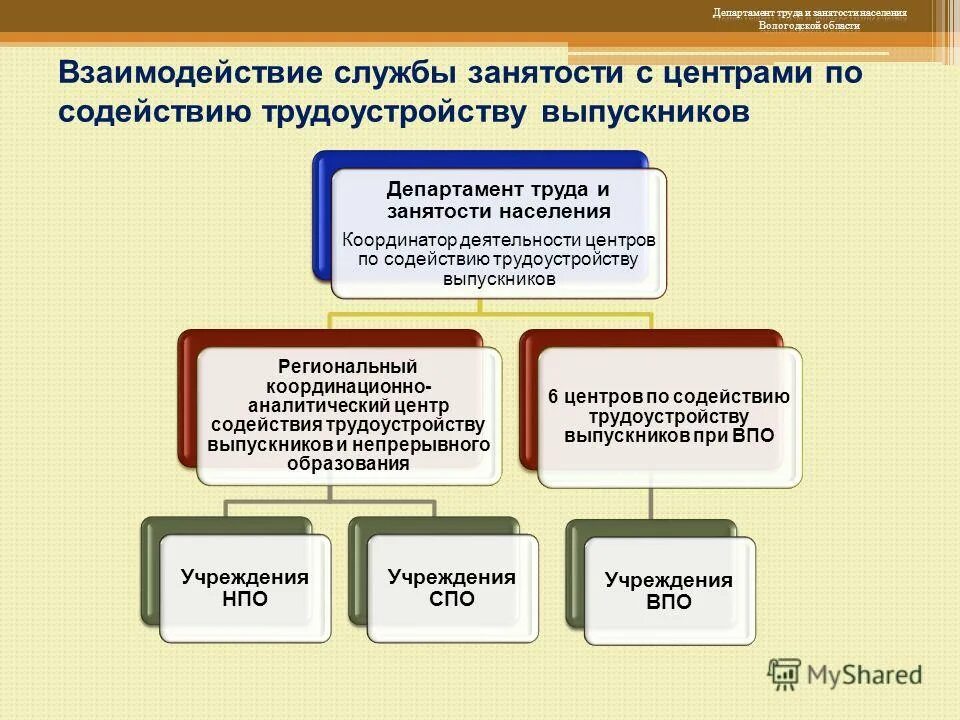 Обучение от центра занятости в спб. Обучение от центра занятости в спб