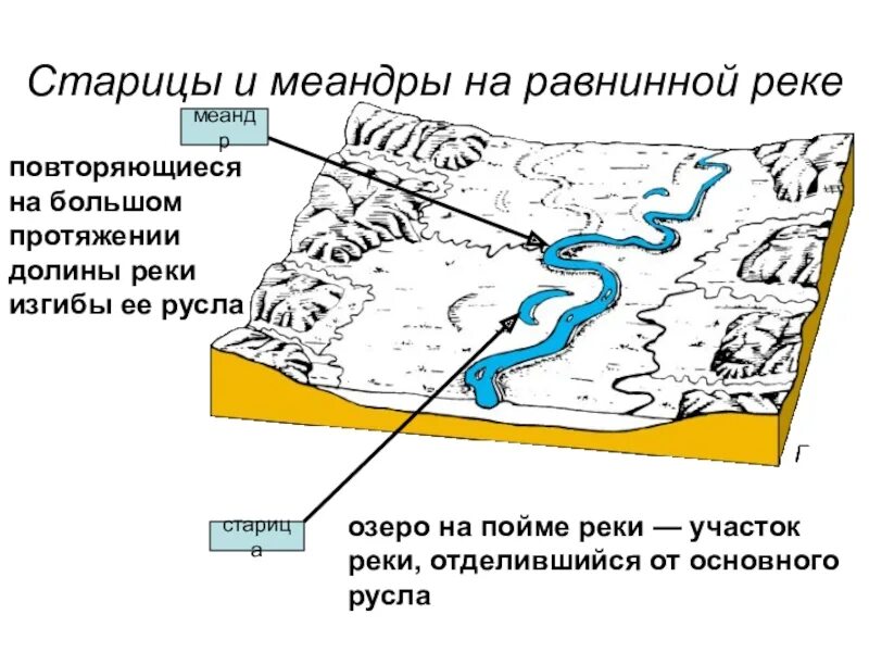 Старица Геология. У реки Меандр и Старица. Меандры и старицы. Старица русло. В течении реки много изгибов