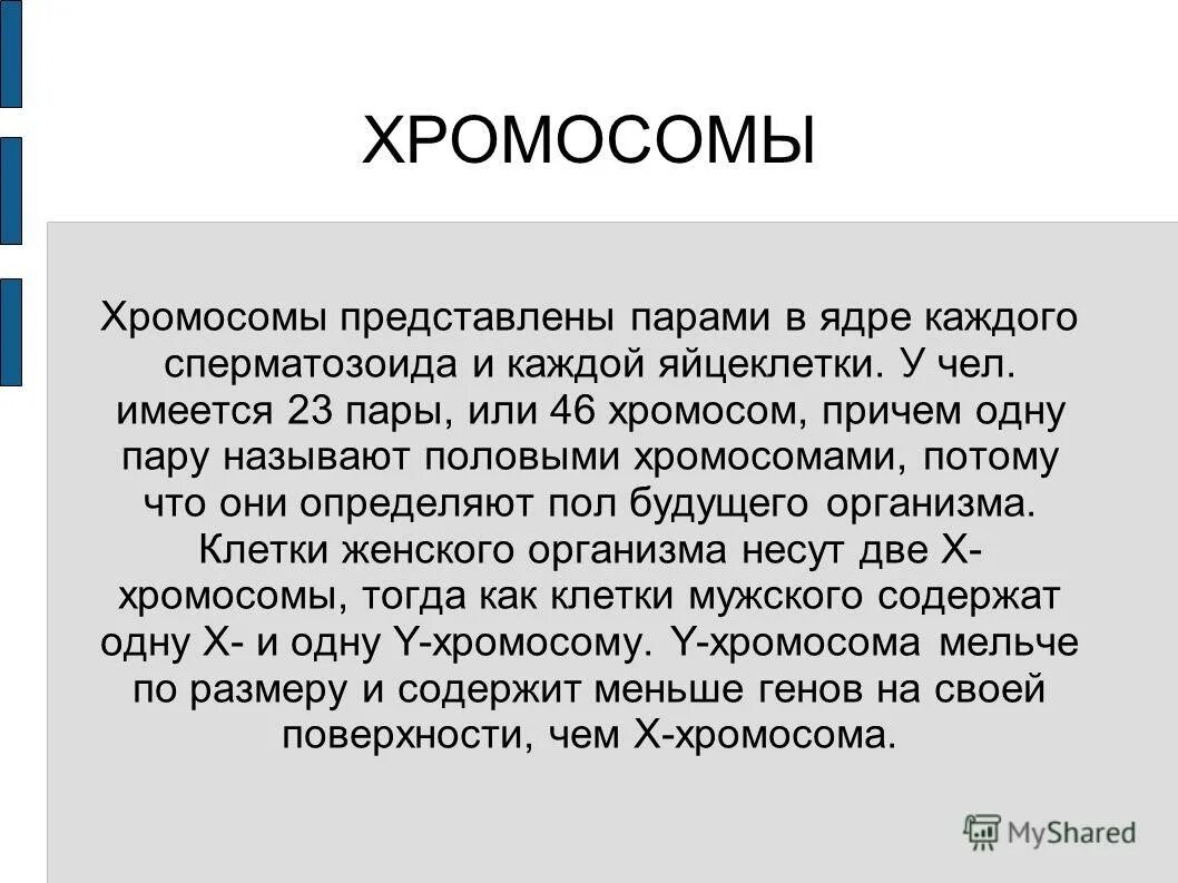 хромосомы представлены парами. генетика пола кариотип человека. хромосомы представлены парами. хромосомный набор кариотип человека. хромосомы представлены парами.