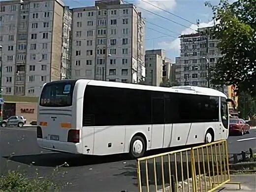 Автобус 769