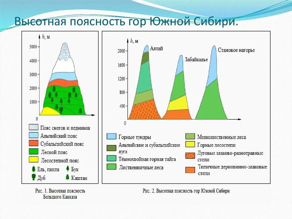 Природные пояса кавказских гор. Крымские горы Высотная поясность схема. Высотнык поясакрымских гор. Высотная поясность горы Южной Сибири схема. Пояс гор Южной Сибири Высотная поясность.