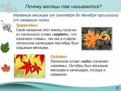 6 месяцев как называется. 6 месяцев как называется
