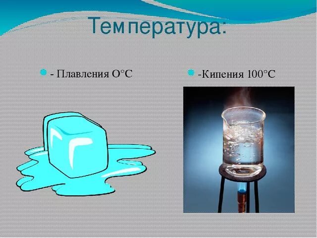 Тема кипеть