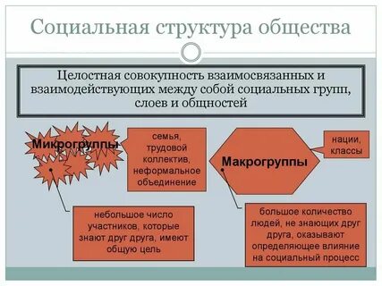 Студенты в социальной структуре общества