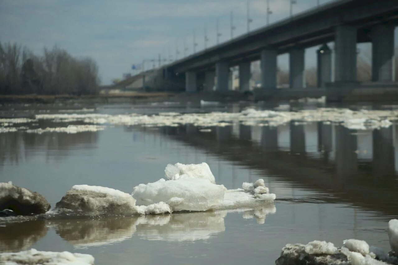 Ледоход на оке 2024. Ледоход на Оби 2022 Барнаул. Ледоход Сургут 2023 на Оби. Ледоход на реке Обь. Барнаул река Обь ледоход.