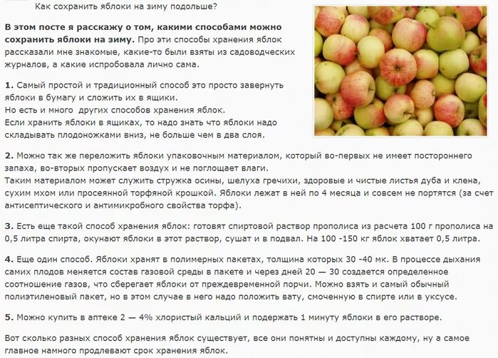 Почему после яблок. Хранение яблок. условия хранения яблок. хранение яблок на зиму. как хранить яблоки.