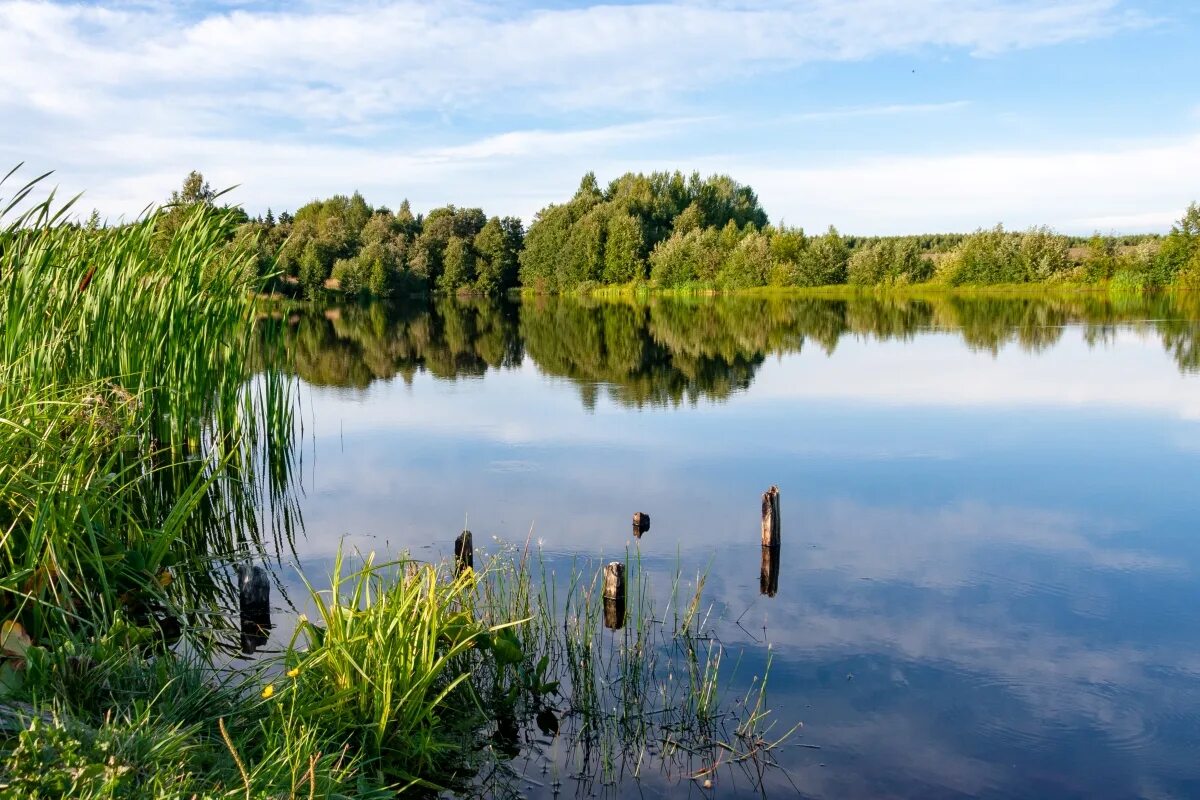 хмелевицы. село хмелевицы нижегородская область. село хмелевицы. хмелевицы шахунский район нижегородская область фото. хмелевицы шахунский район нижегородская область.