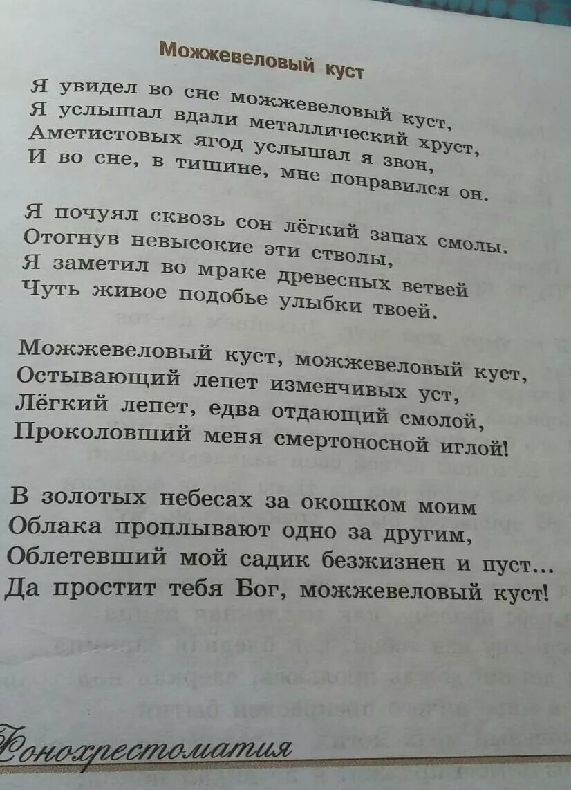 Можжевеловый куст заболотский. Можжевеловый куст стих. Стихотворение можжевеловый куст Заболоцкий. Стихи Заболоцкого можжевеловый куст текст. Можжевельник стих Заболоцкого.