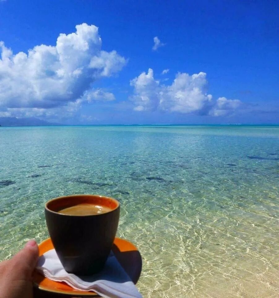 Картинки с добрым утром город. Утро на море. Чашка чая на берегу моря. Доброе утро море. Доброе солнечное утро на море.