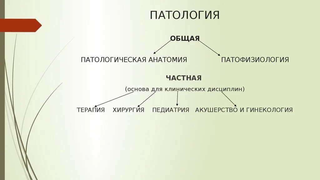 Что патология и тем. Общая и частная патология. Предмет и задачи общей патологии. Методы общей и частной патологии. Разделы общей патологии.