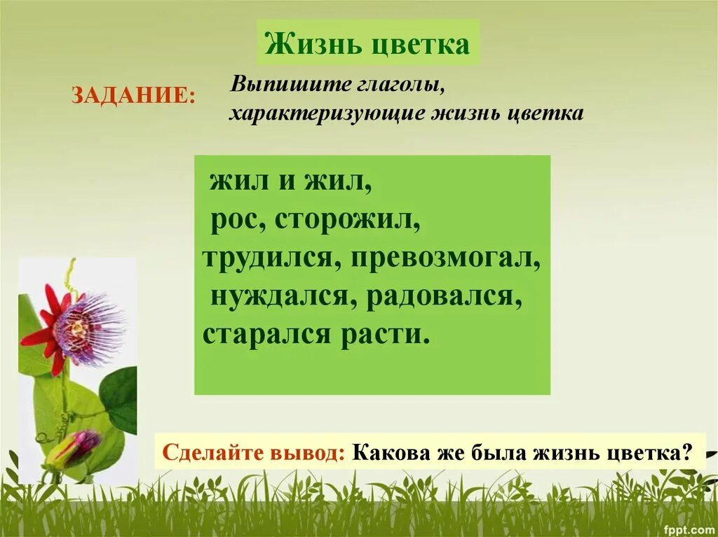 Как жил неизвестный цветок. Выпишите глаголы, характеризующие жизнь цветка. Вывод неизвестный цветок. Вывод произведения неизвестный цветок. Цветок жизни.