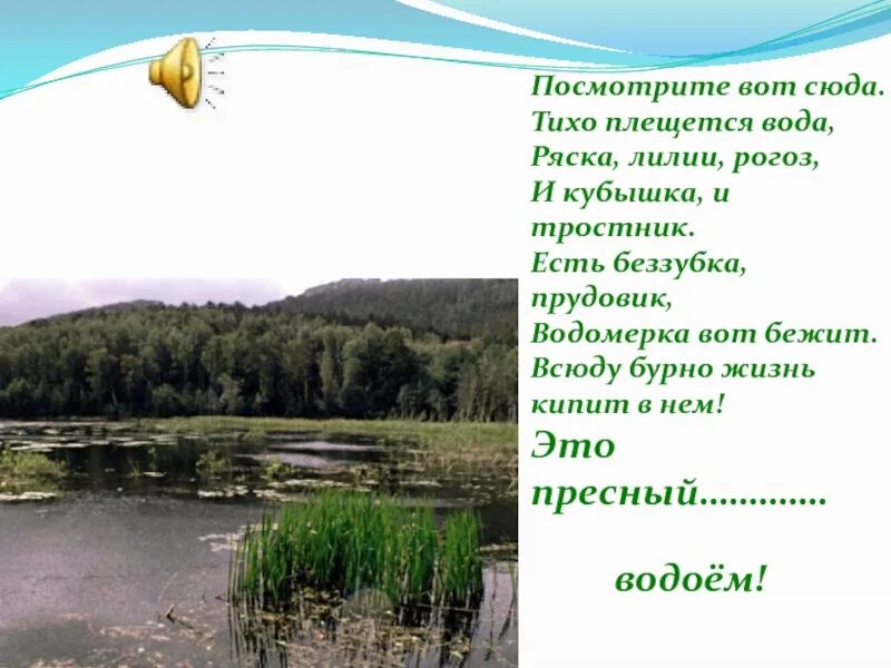 Жизнь в пресной воде. Сообщение о жизни в пресных Водах. Проект жизнь в пресных Водах. Жизнь в пресных Водах доклад 4 класс. Окружающий мир жизнь пресных водах