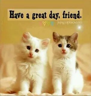Having kittens