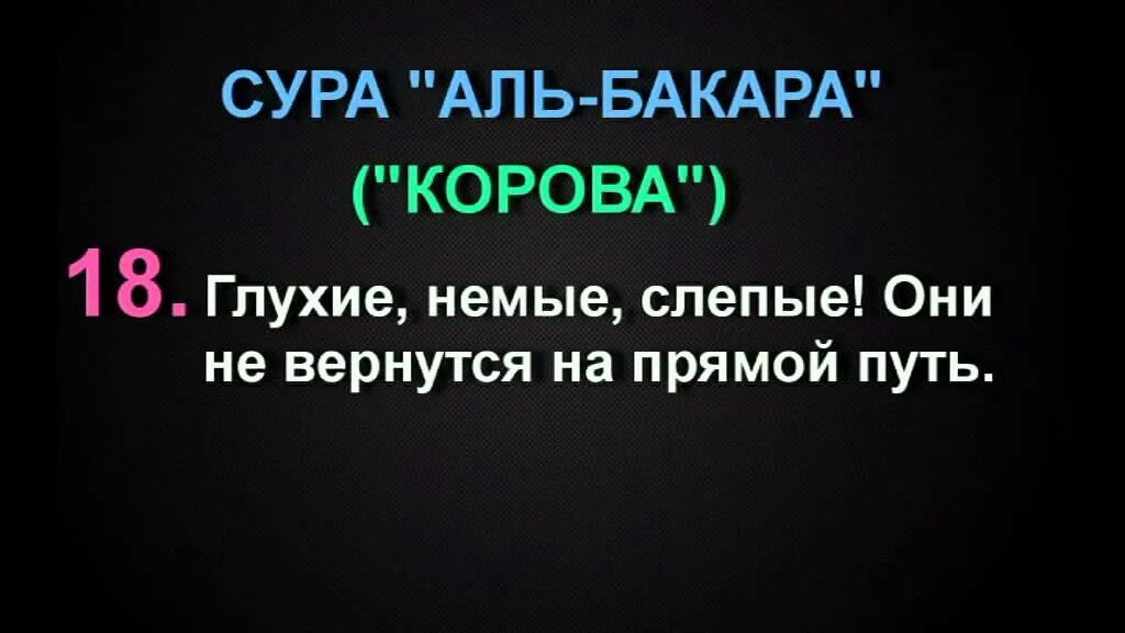 Сура бакара на всю ночь. Сура Аль Бакара. Сура Аль-Бакара Сура корова. Слепые глухие немые Коран. Глухие немые Слепые они не вернутся на прямой путь.