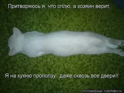 Притвориться спящим как пишется