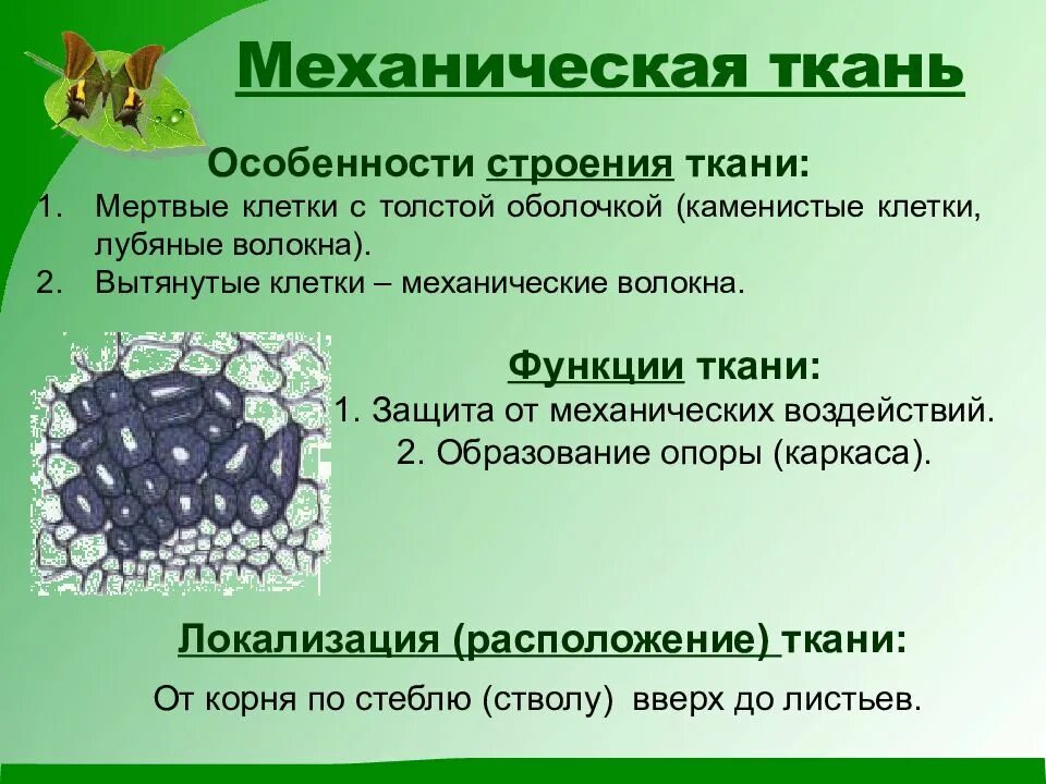 Какую функцию выполняет механическая