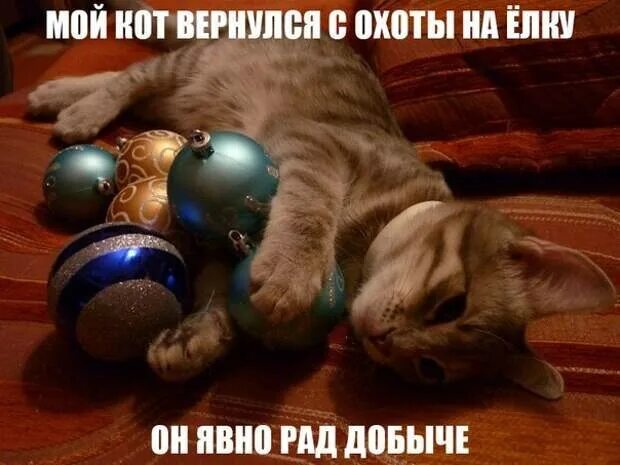 Почему коты возвращаются. Новогодние коты хулиганы. коты хулиганы с надписями. все вернем коты. кот вернулся слова.