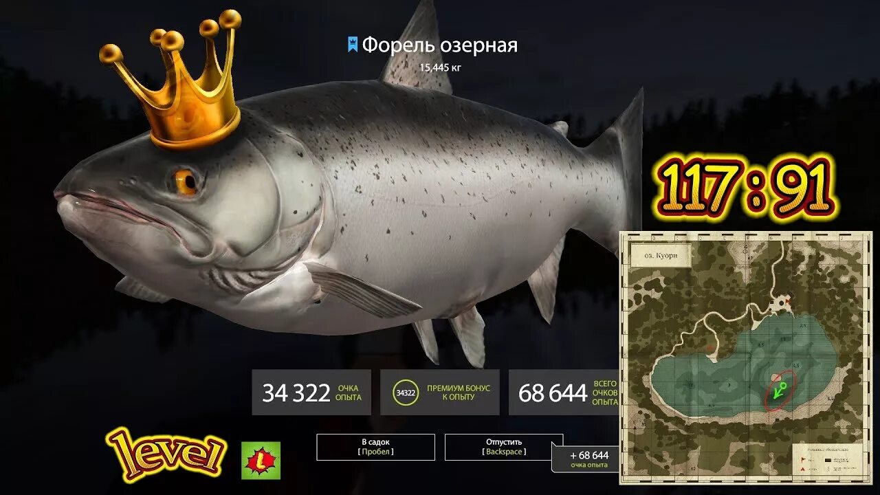 На что ловить на куори в рр4