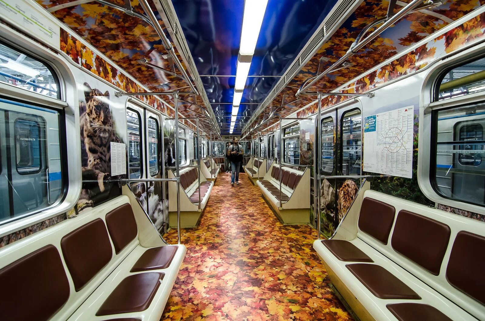 Вагон часов. Московский метрополитен вагоны метро. москва вагон метро. метровагон москва. москва вагон метро вагоны метрополитена.