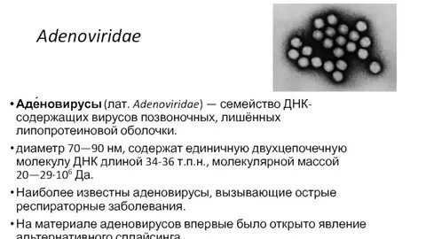 Микоплазма у детей