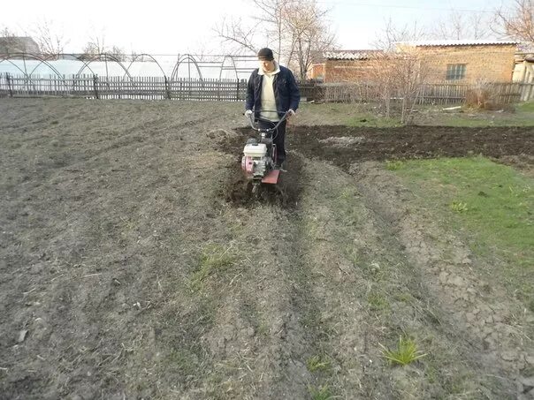 Мотоблок вспахать сотку