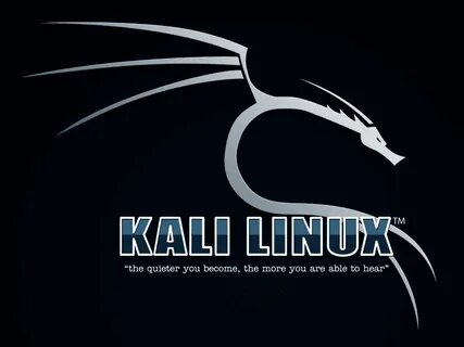 Burp kali linux