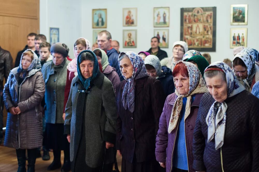 самарский зерносовхоз