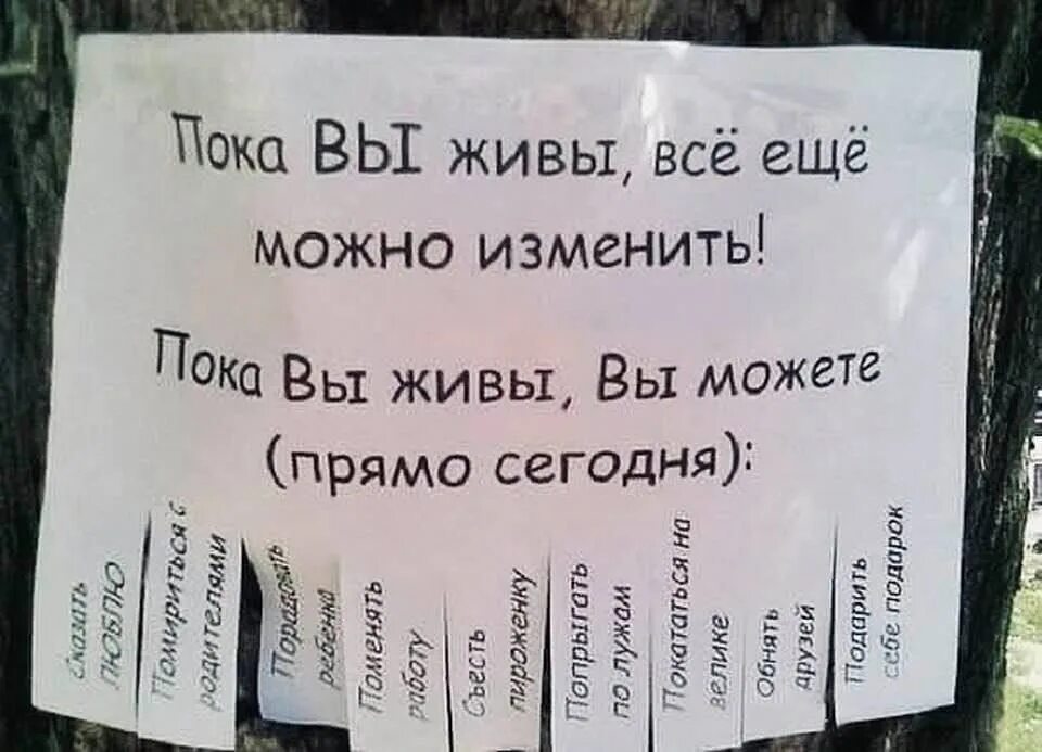 Пока ты жив. Все можно изменить. Все можно изменить пока мы живы. Изменить можно все пока ты жив. Можно просто пока