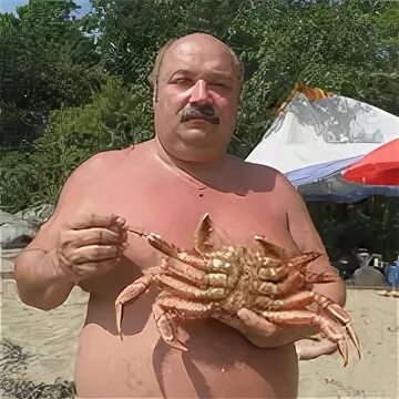 Кржановский