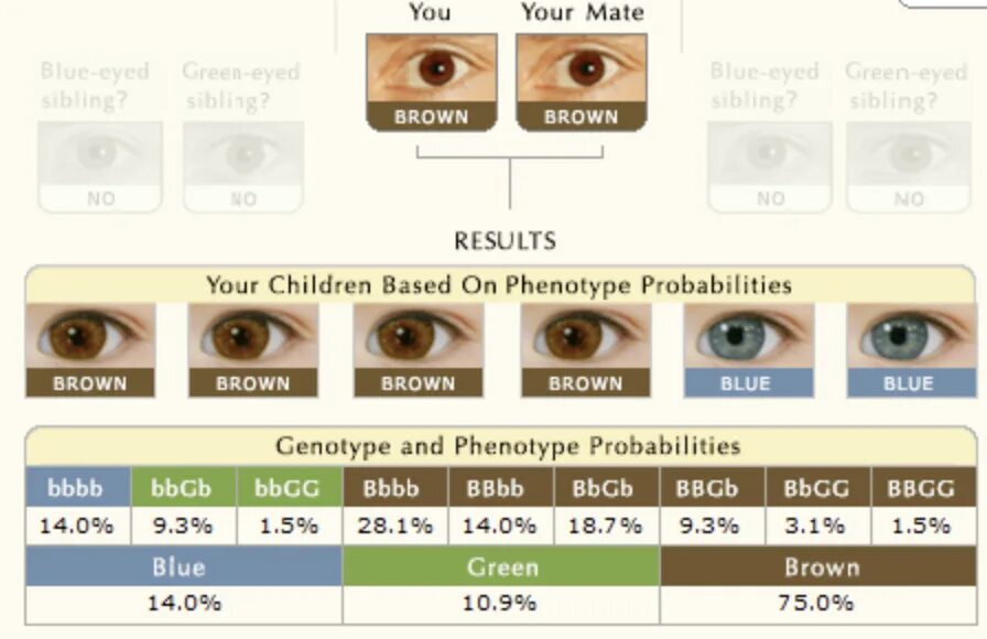 Как узнать какие глаза. Карие глаза у мамы и голубые у папы какие будут у ребенка таблица. Цвет глаз родителей и детей. Цвет глаз будущего ребенка. Цвет глаз родителей и детей таблица.