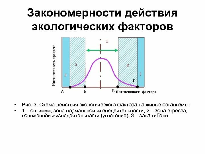 Закон воздействия экологических факторов. Общие закономерности действия факторов. Закономерности действия экологических факторов. Основные закономерности действия экологических факторов. Общие закономерности действия экологических факторов.