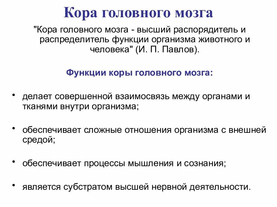 Свойство коры головного мозга. Функции коры больших полушарий головного мозга таблица. Функции коры больших полушарий головного мозга. Функции коры головного мозга физиология. Физиологические свойства коры головного мозга.