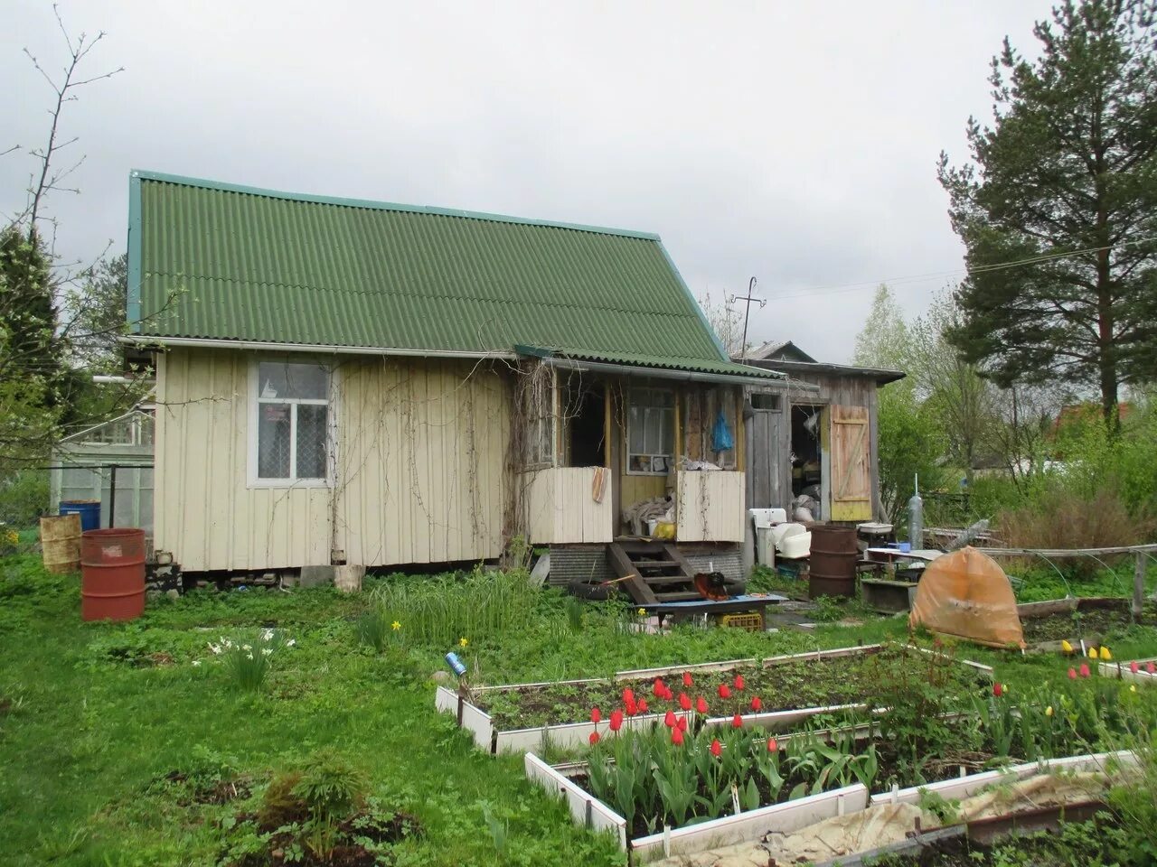 Деревня Кобрино Гатчинский район. Садоводство Дивенская Лужский район. Дача в Кобрино. Дачный массив Кобрино.