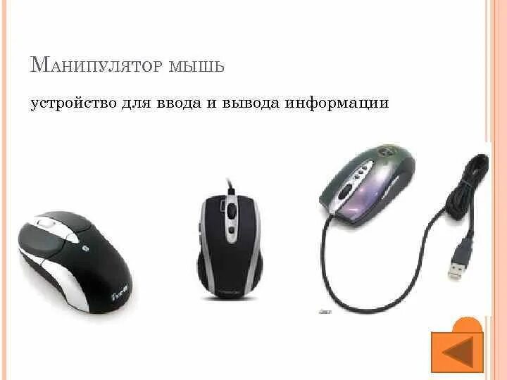 Манипулятор мышь это устройство. Манипулятор мышь это устройство