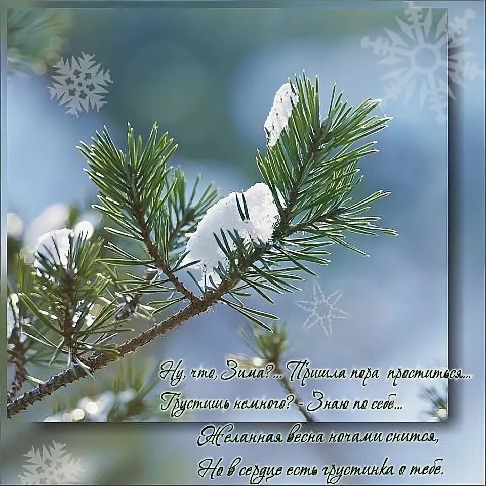 Открытка с последними зимними днями. С последним воскресеньем февраля доброе. С последниммвоскресеньем февраля. С последним воскресеньем января. Хорошего зимнего воскресенья.