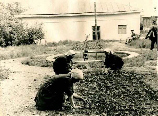 I Use My Photoshop Skills To Restore Vintage Photographs (23 New Pics) Photo res