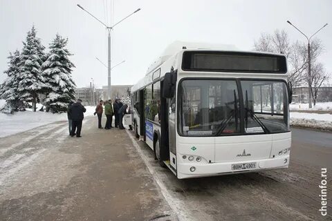 Маршрутка удомля