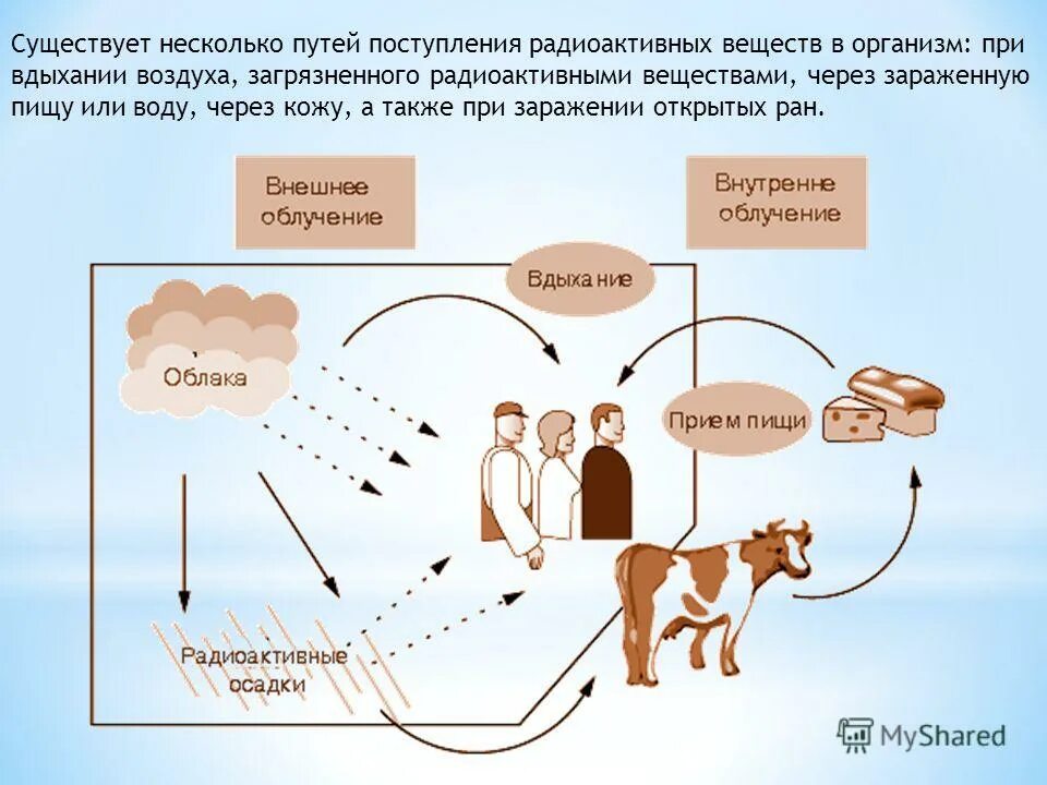 пути попадания токсических веществ в организм. пути поступления яда в организм. основные пути проникновения яда в организм. пути попадания отравляющих веществ в организм человека. пути поступления яда в организм.